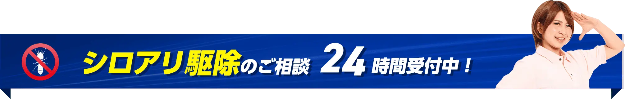 シロアリ駆除のご相談24時間受付中！