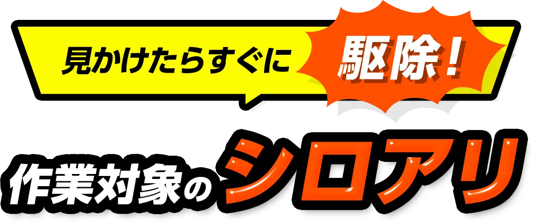 見かけたらすぐに駆除！作業対象のシロアリ