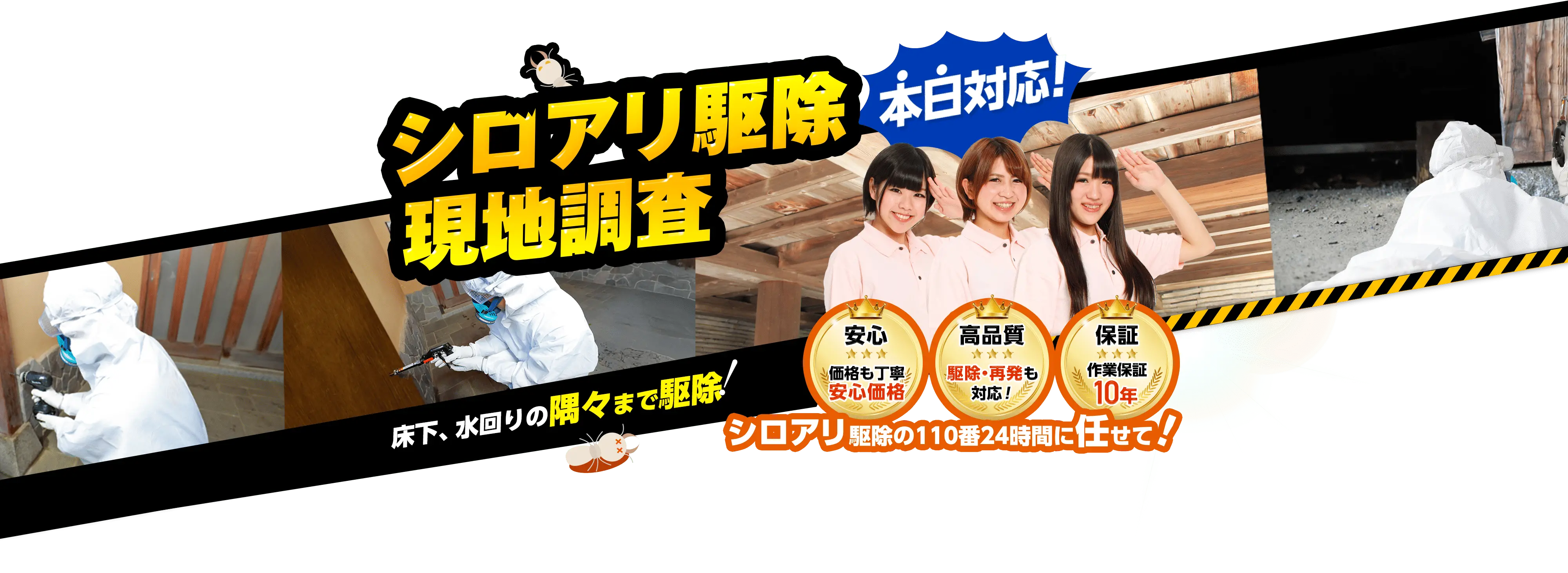 シロアリ駆除現地調査 本日対応！ 床下、水回りの隅々まで駆除！価格も丁寧安心価格 駆除・再発も対応！作業保証10年シロアリ駆除の110番24時間に任せて！