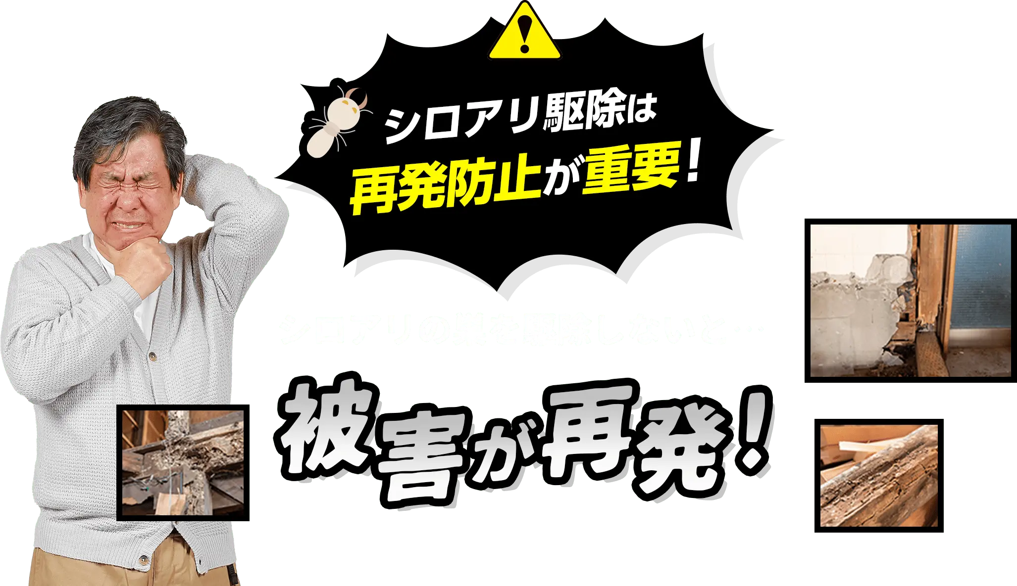 シロアリ駆除は 再発防止が重要! シロアリの巣を駆除しないと…被害が再発!