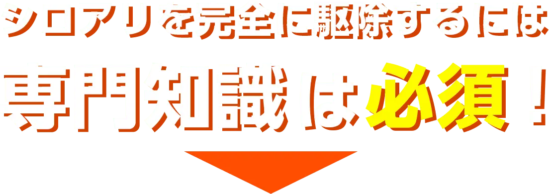 シロアリを完全に駆除するには専門知識は必須！