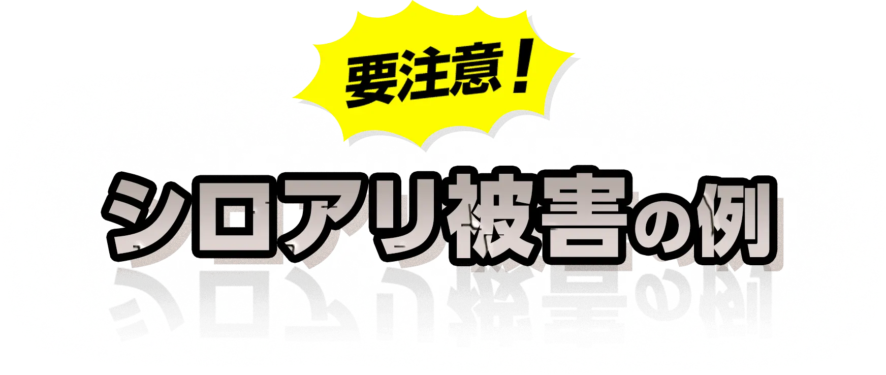 要注意！シロアリ被害の例