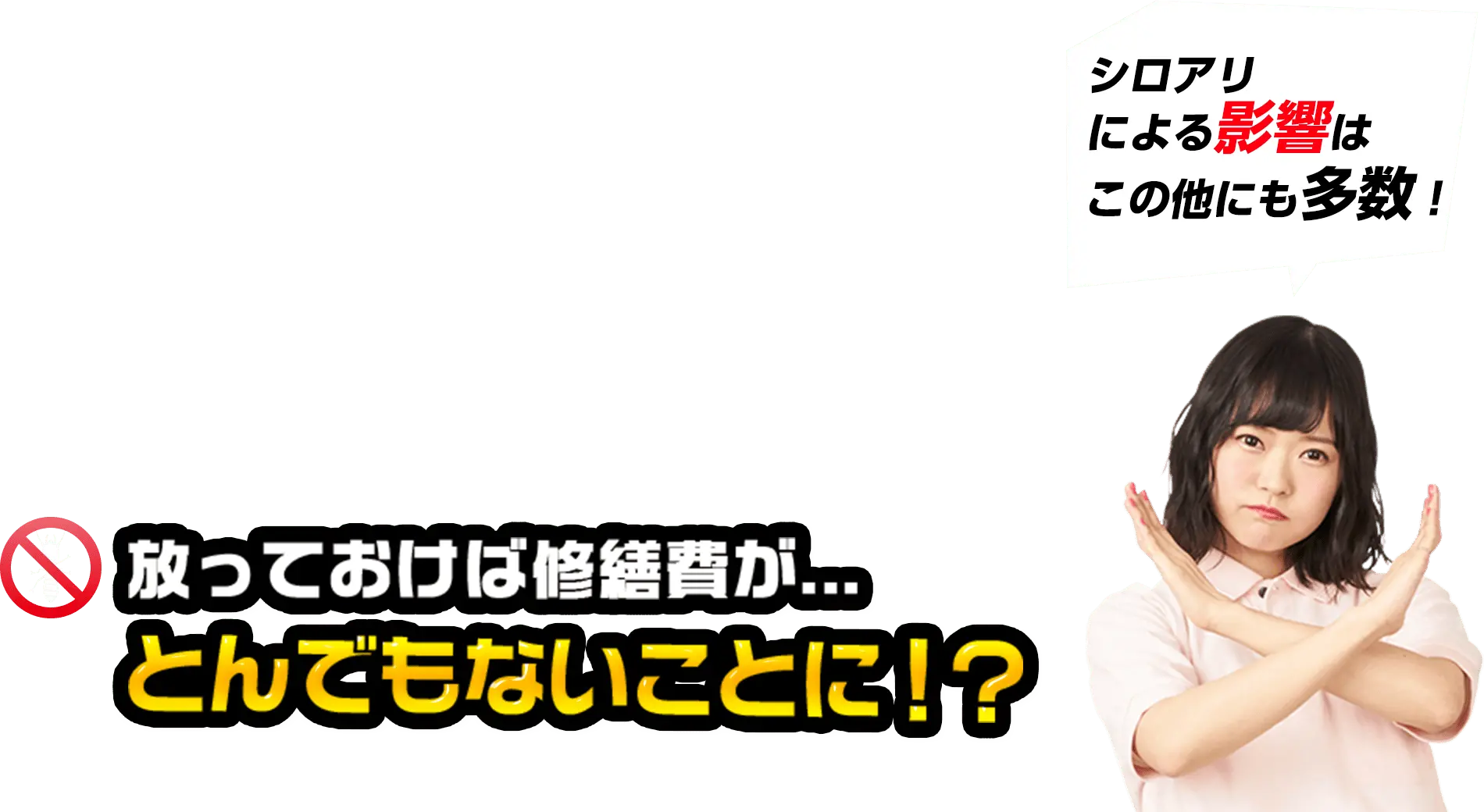 シロアリによる影響はこの他にも多数！放っておけば修繕費が...とんでもないことに！？