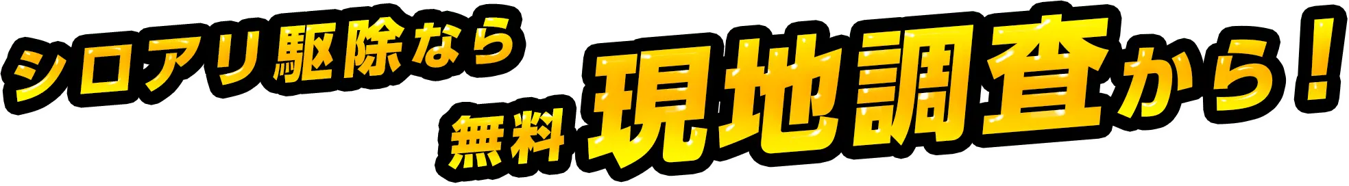 シロアリ駆除なら無料現地調査から！