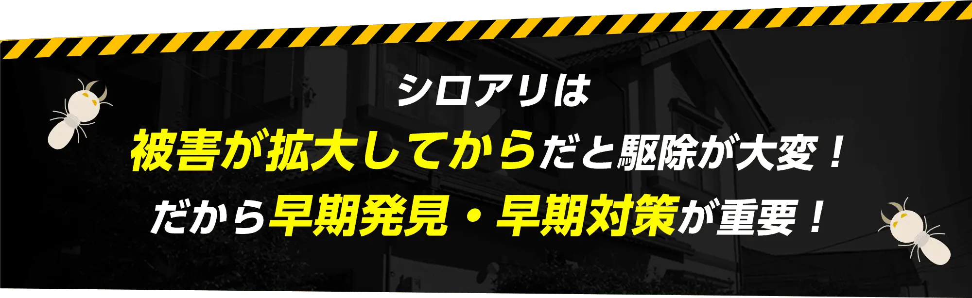 シロアリは被害が拡大してからだと駆除が大変！だから早期発見・早期対策が重要！